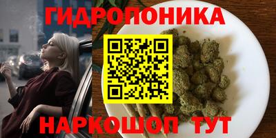 крисы Бузулук